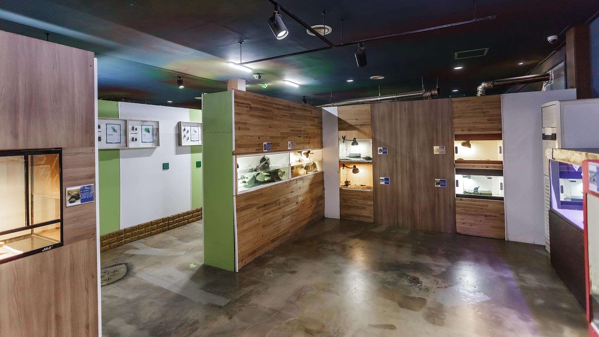 自然一起玩體驗學習博物館
