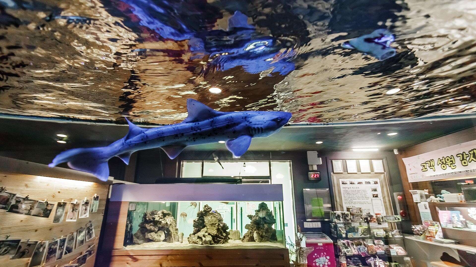 自然一起玩體驗學習博物館