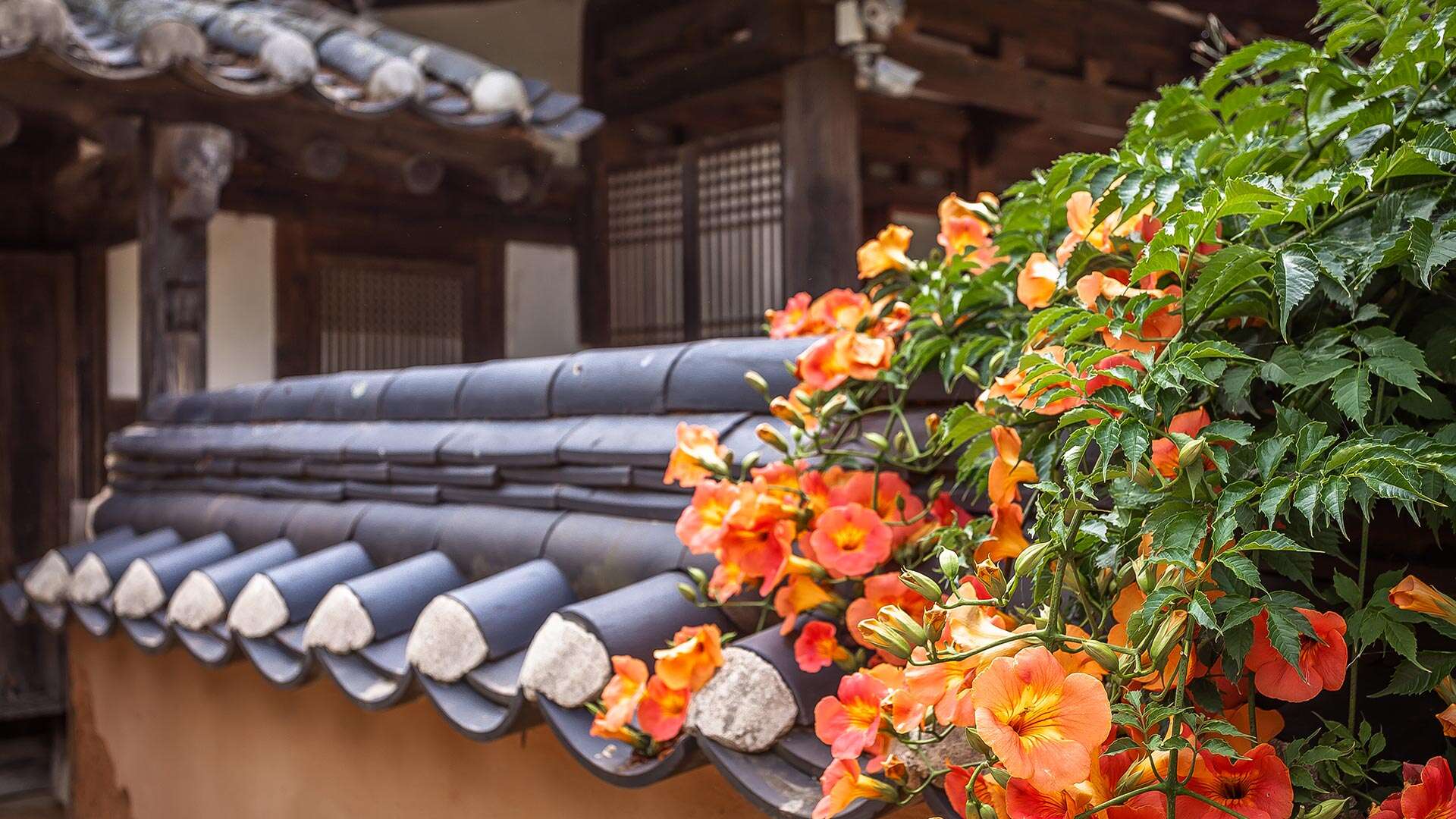 許筠・許蘭雪軒記念公園