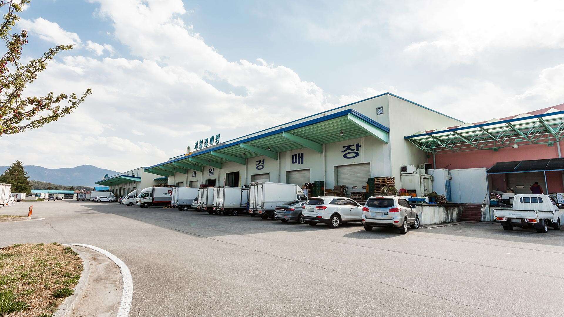 농산물도매시장