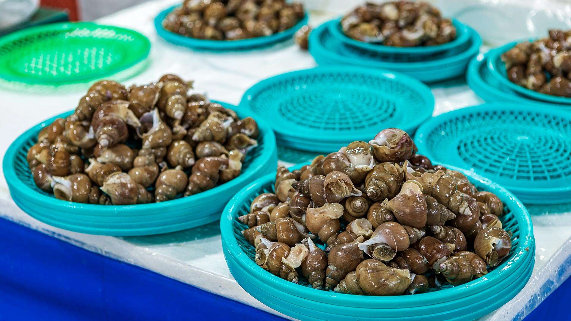 江陵注文津水産市場