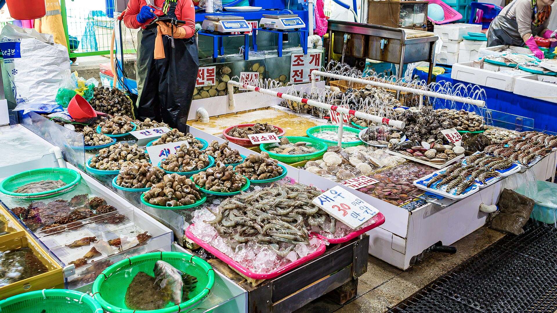 江陵注文津水産市場