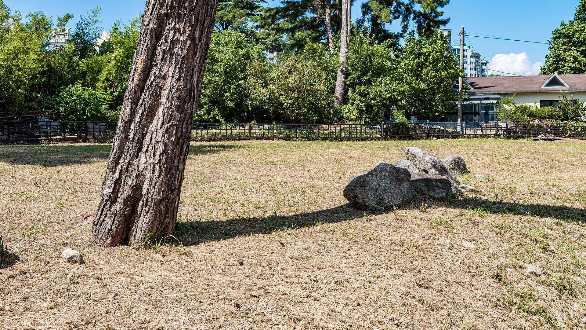 江陵草堂洞遺址 (Gangneung Chodang-dong Relics)