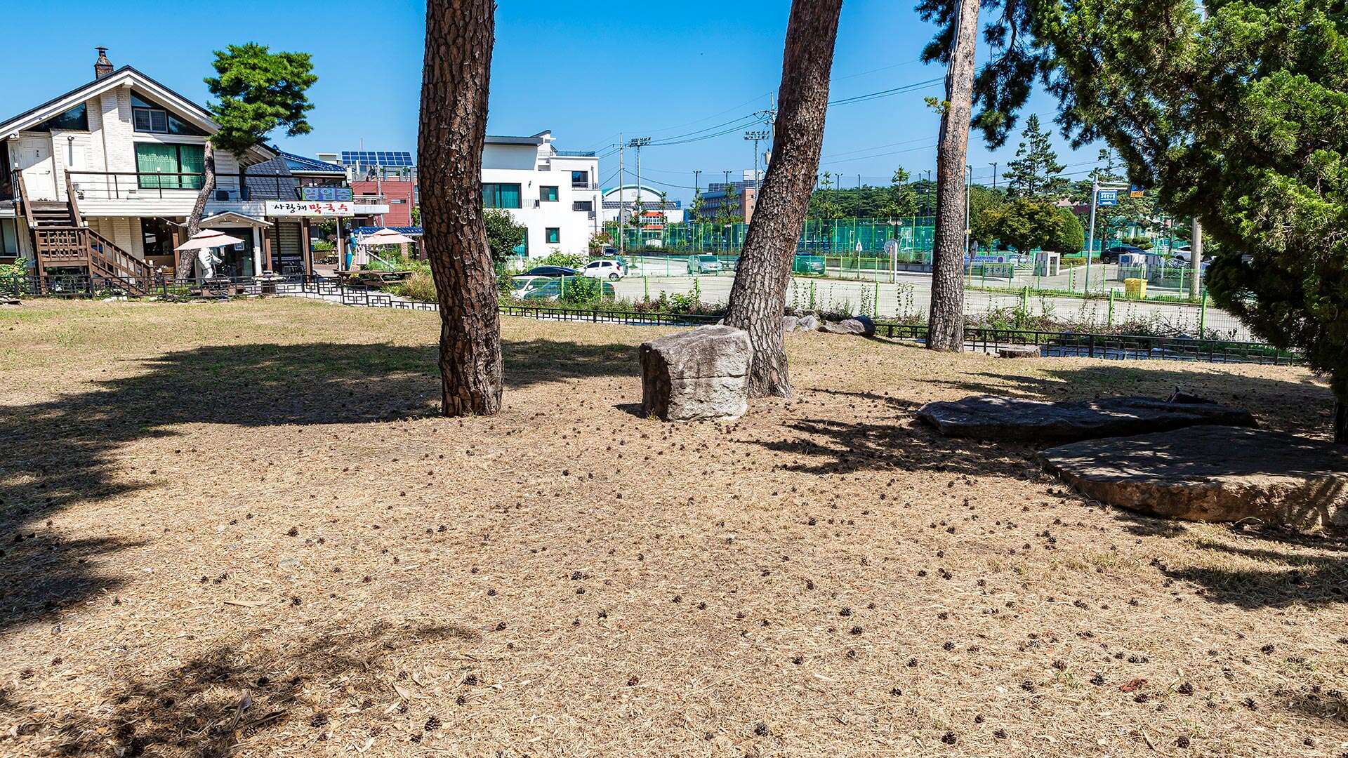 江陵草堂洞遺址 (Gangneung Chodang-dong Relics)