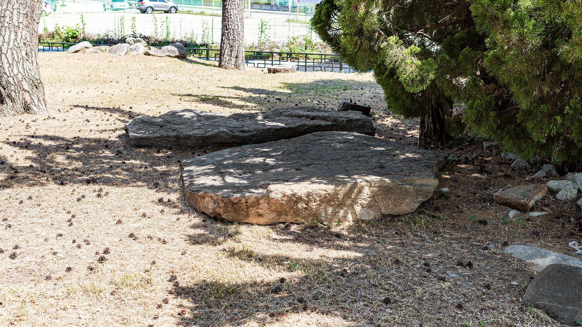江陵草堂洞遺址 (Gangneung Chodang-dong Relics)