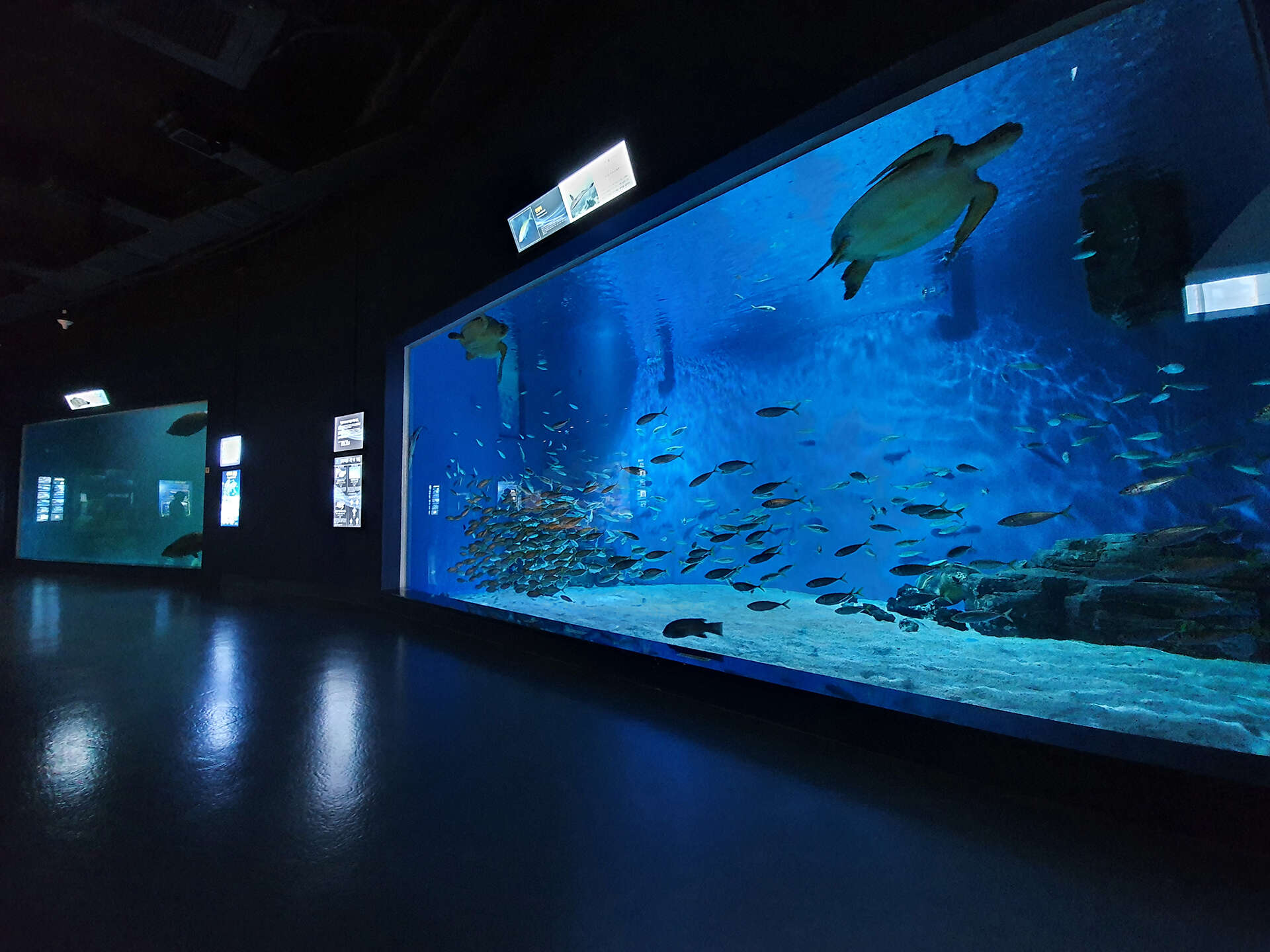 경포아쿠아리움