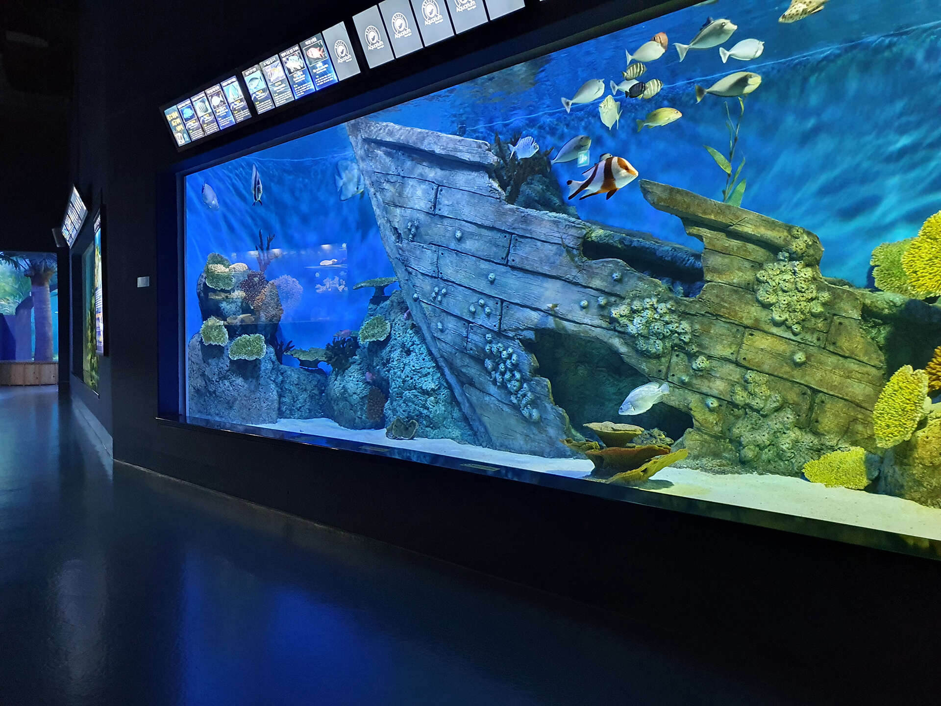 경포아쿠아리움