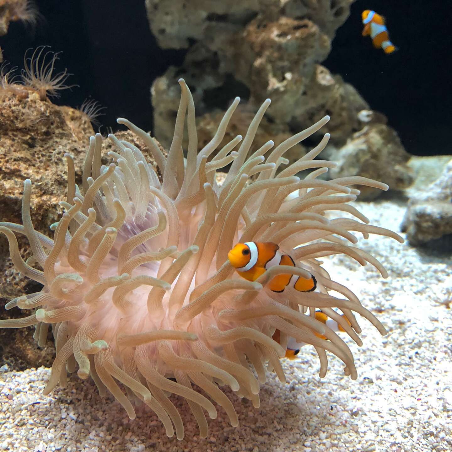 경포아쿠아리움