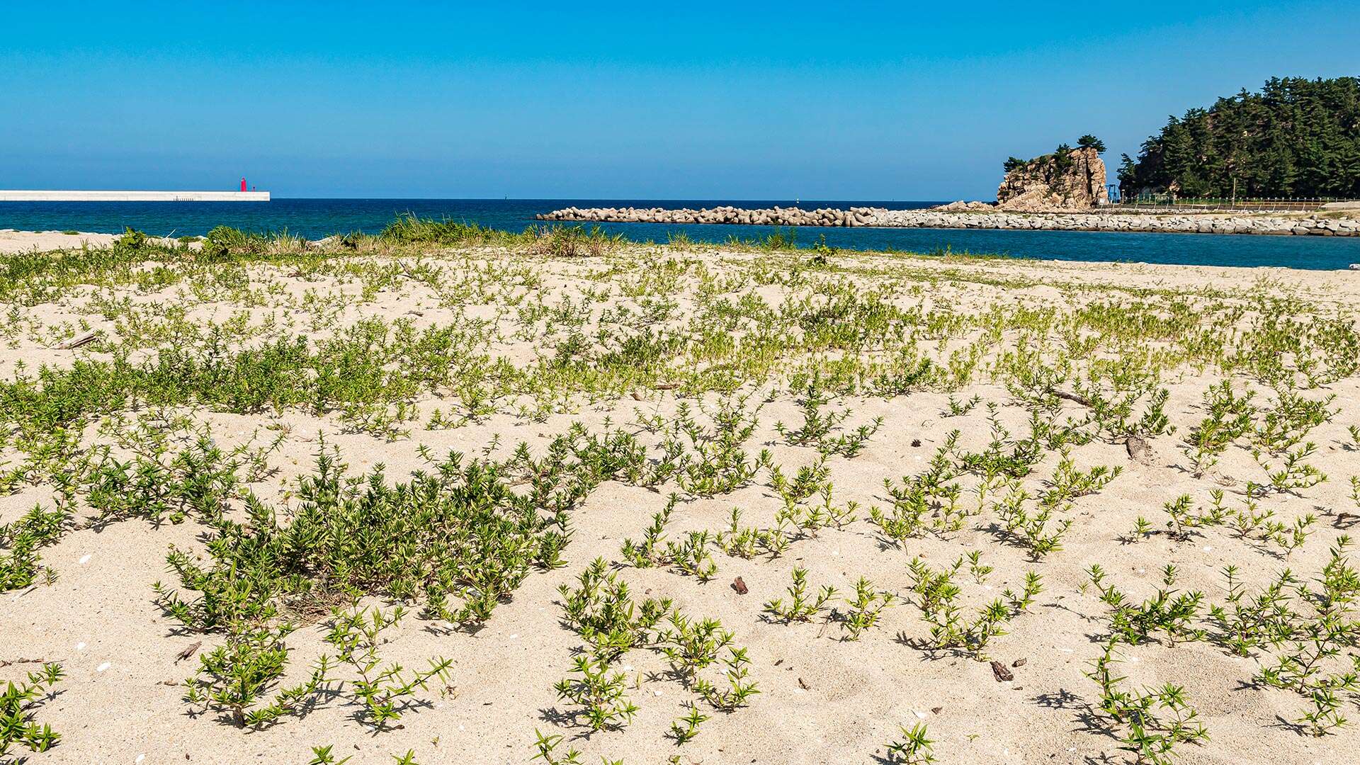 Yeomjeon Beach