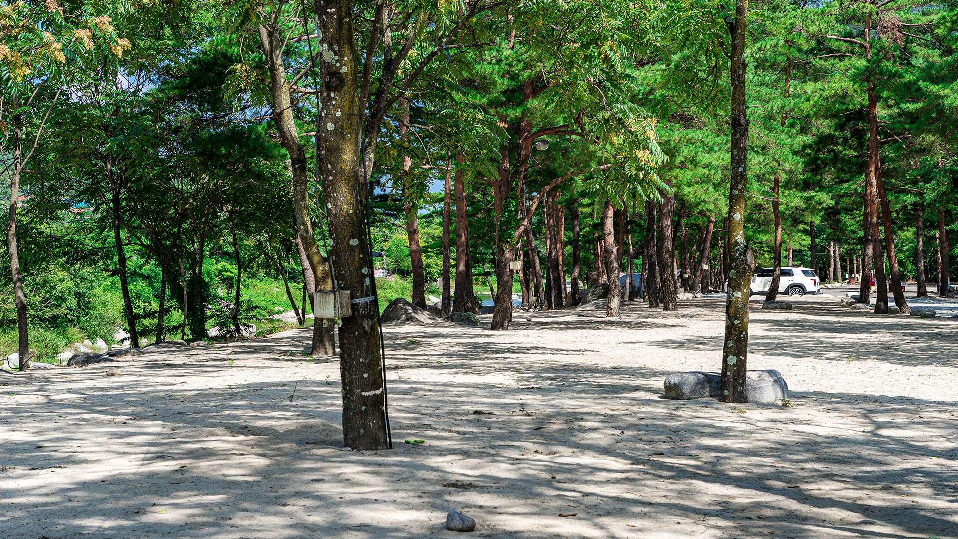 소금강 장천마을