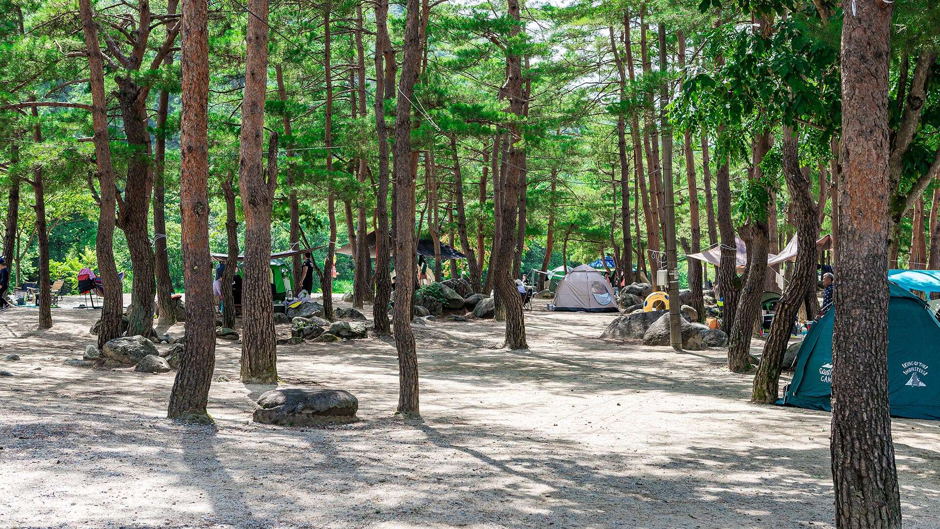 소금강 장천마을