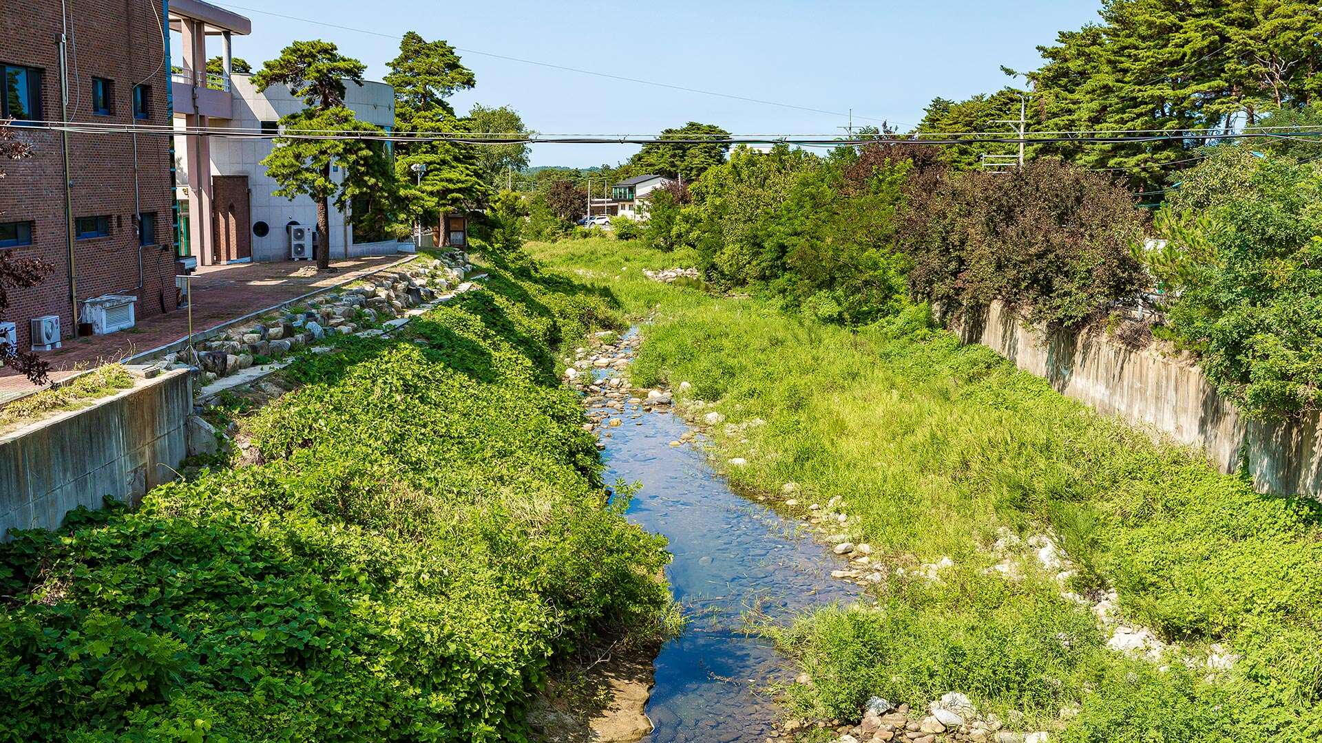 鶴村