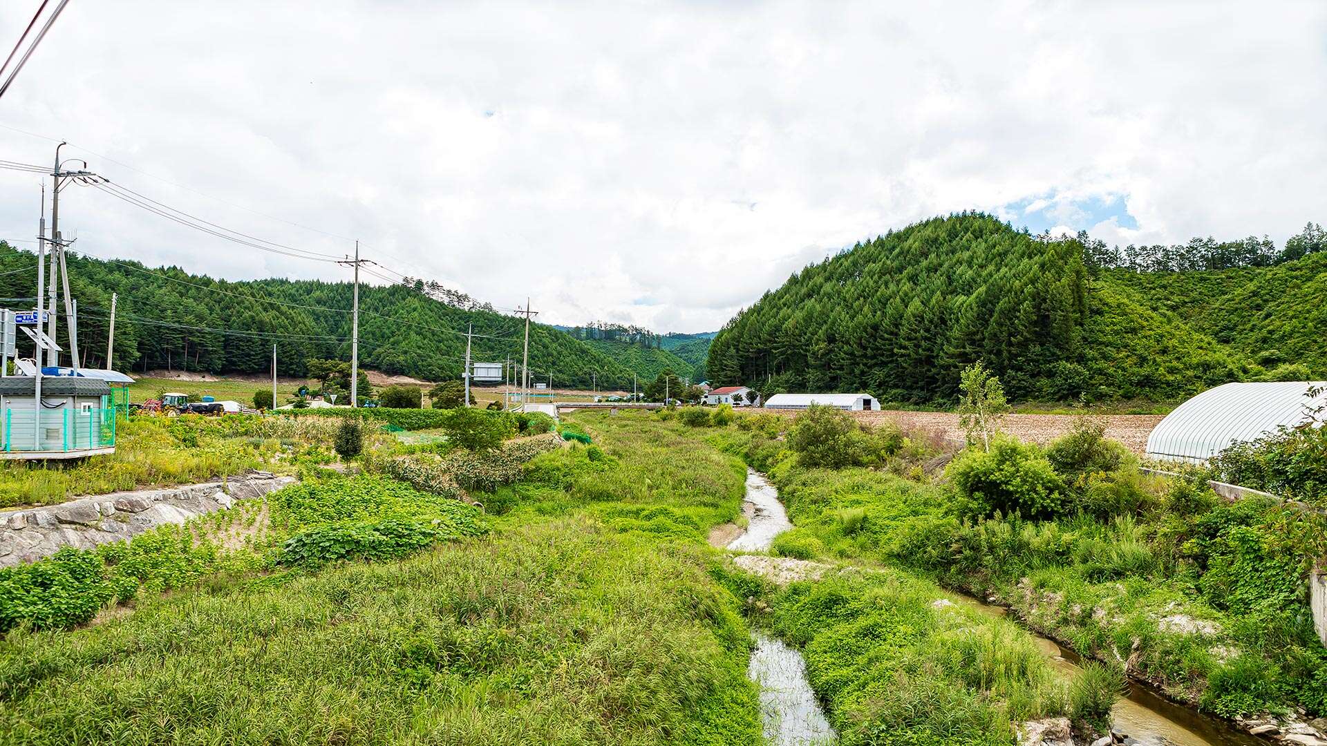 大基里村