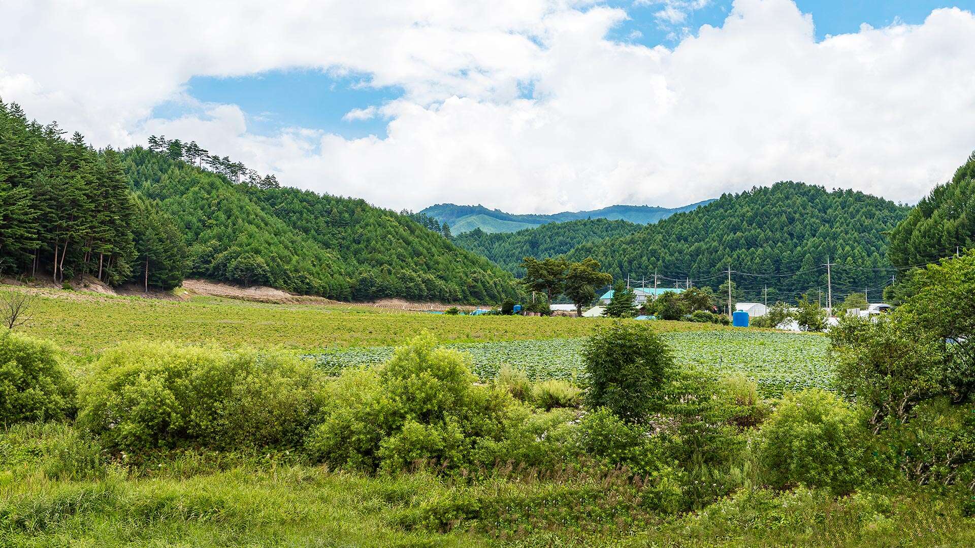 大基里村