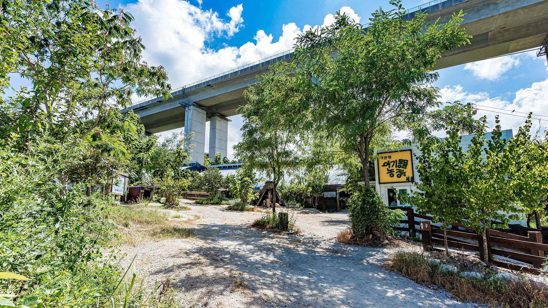 대관령아기동물농장