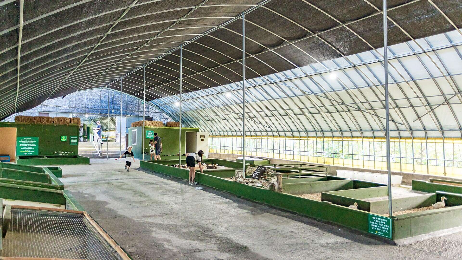 대관령아기동물농장