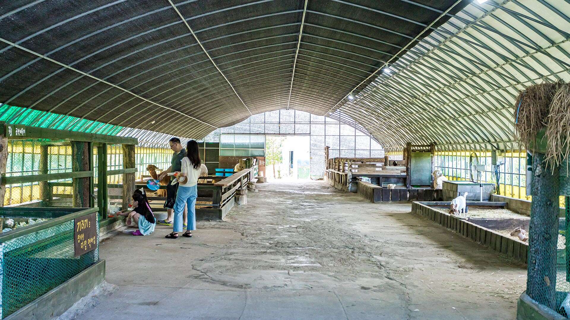 대관령아기동물농장