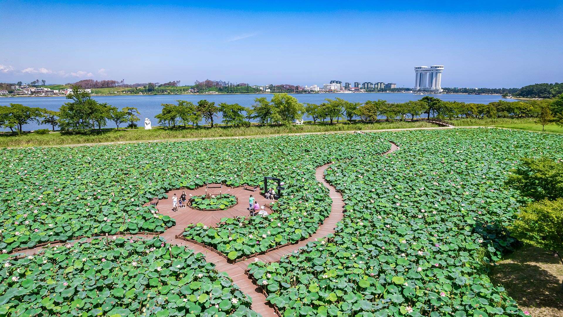 鏡浦生態湿地公園(キョンポホ・センテ・スプチゴンウォン)