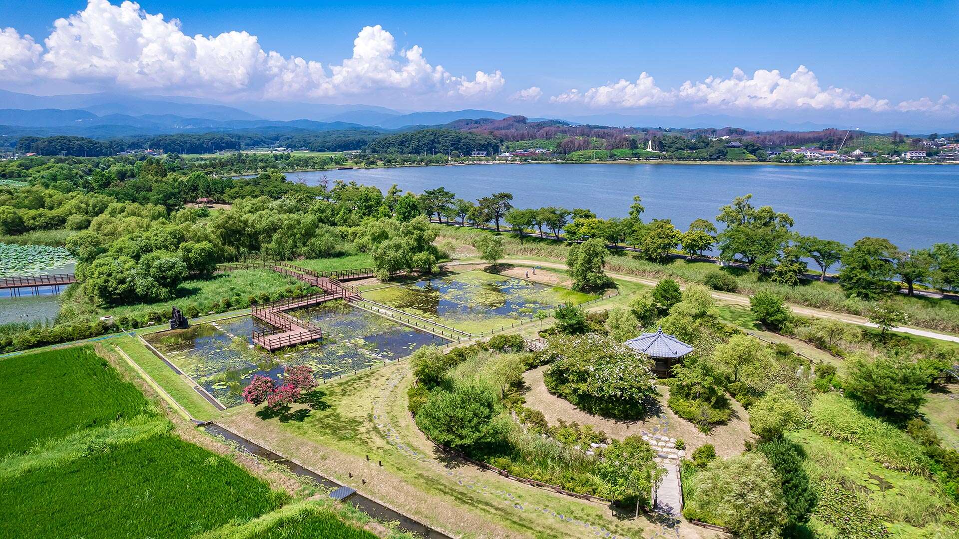 鏡浦生態湿地公園(キョンポホ・センテ・スプチゴンウォン)