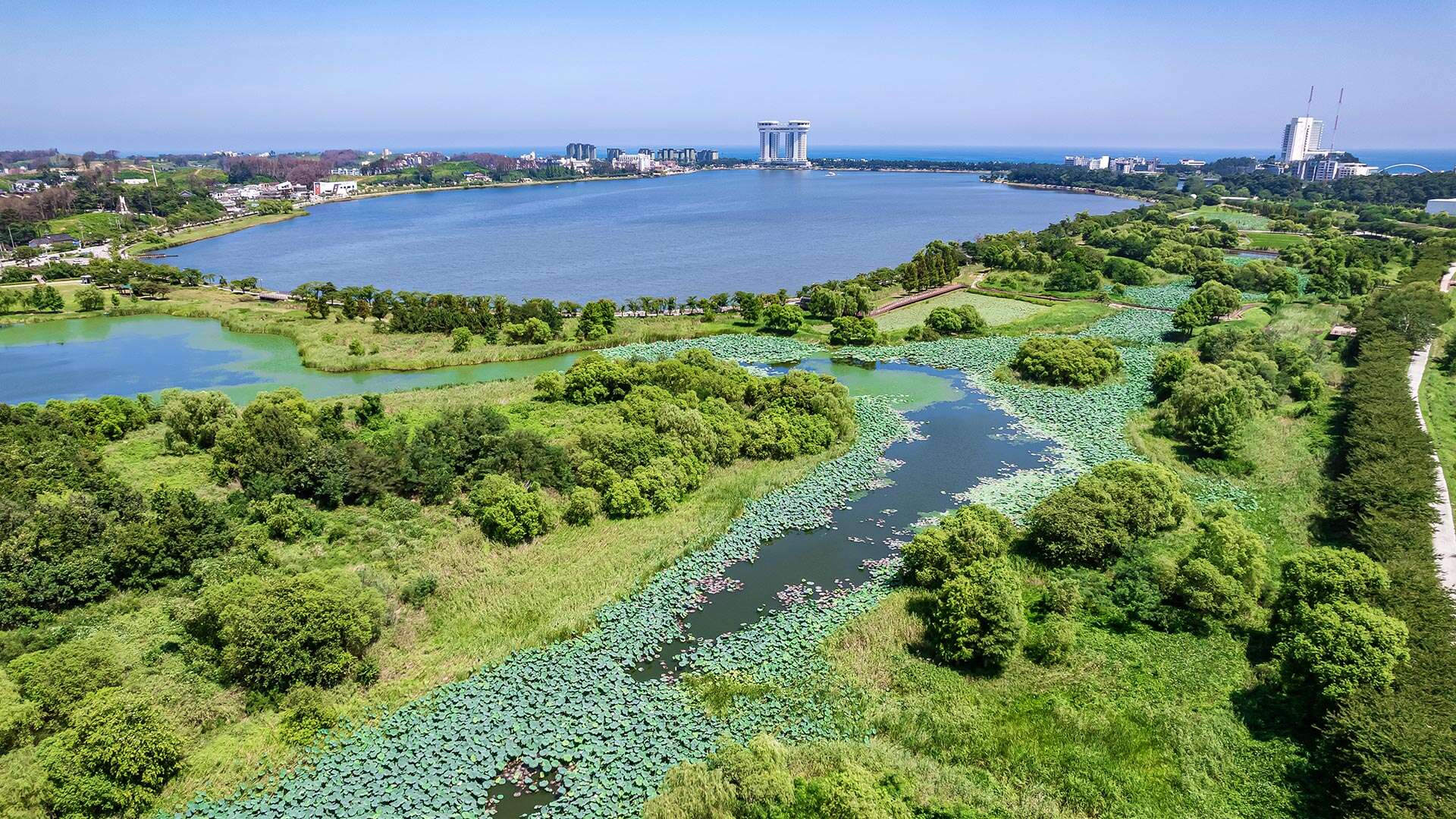 鏡浦生態湿地公園(キョンポホ・センテ・スプチゴンウォン)