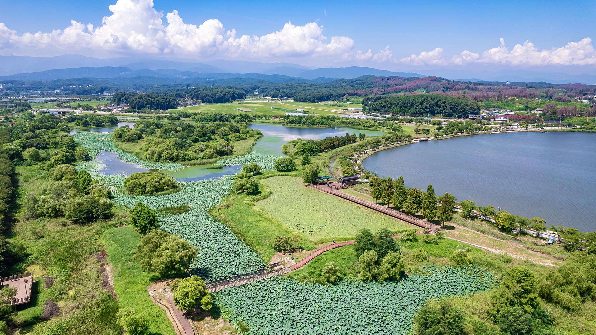 鏡浦生態湿地公園(キョンポホ・センテ・スプチゴンウォン)