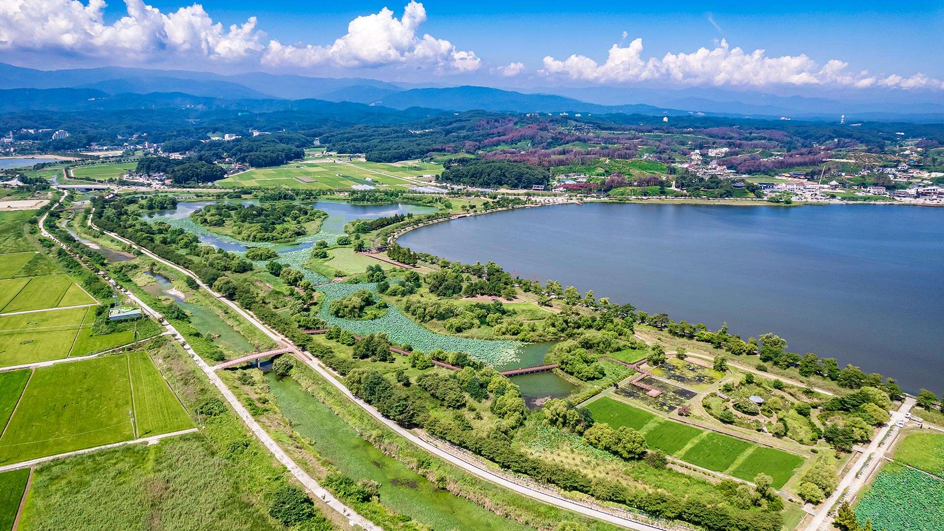 鏡浦生態湿地公園(キョンポホ・センテ・スプチゴンウォン)