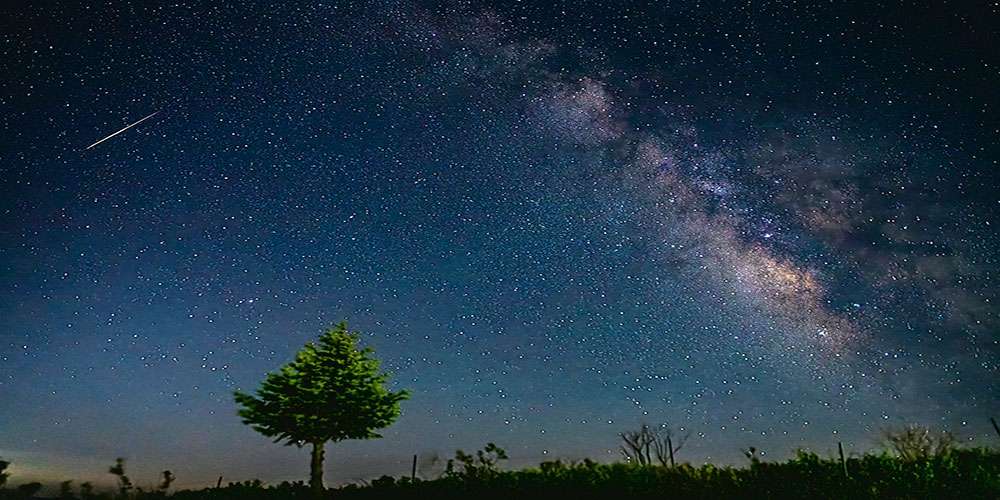 강릉안반데기관광농원