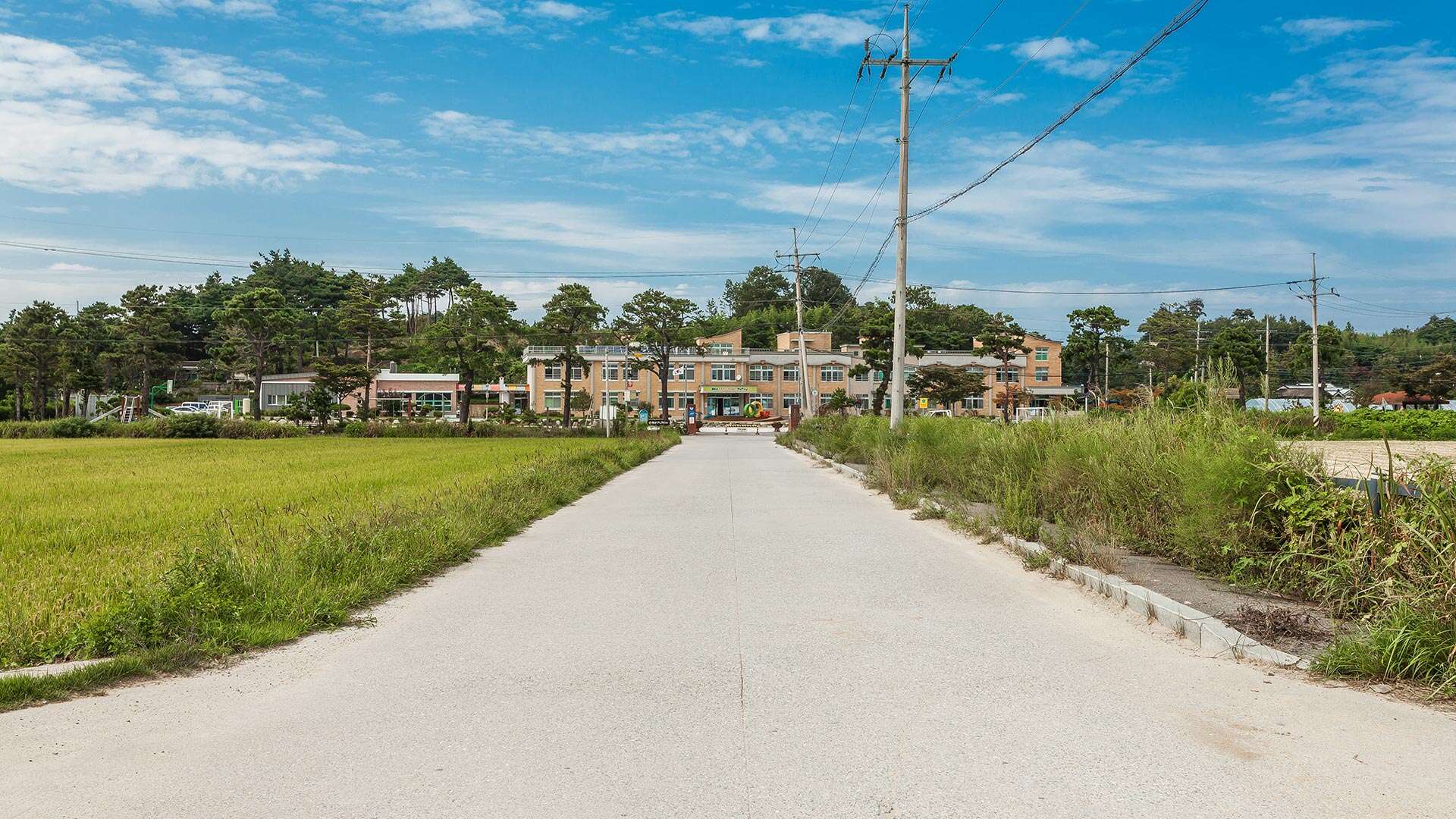 江陵Bau-gil（海松徑）4號路線