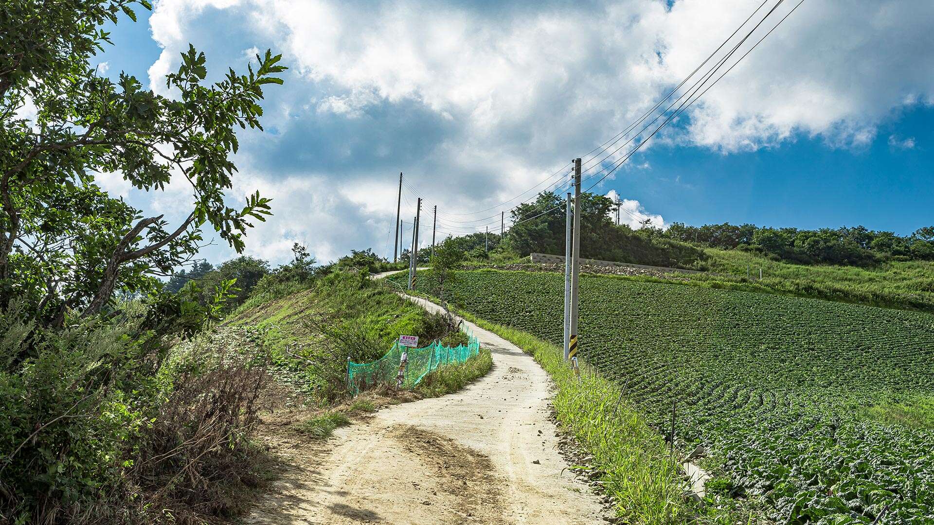 바우길 17코스