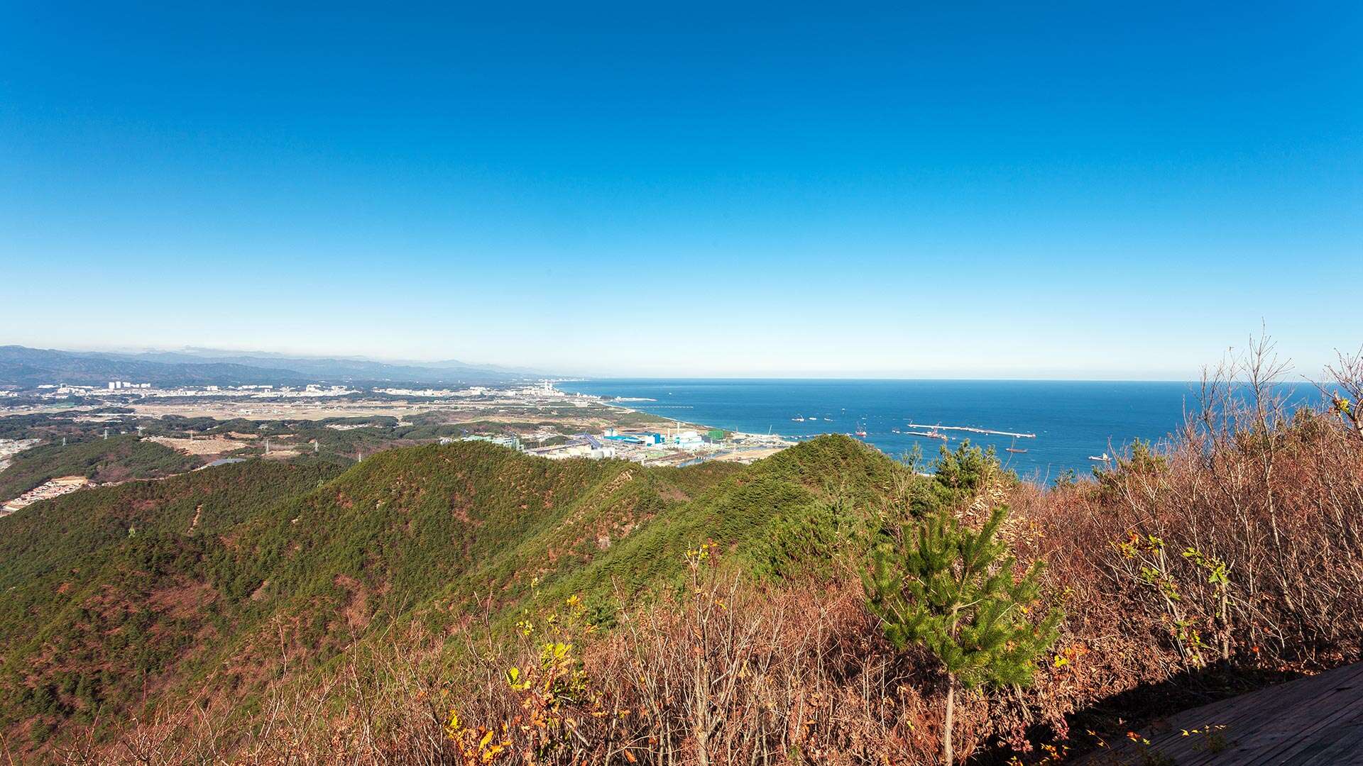 江陵Bau-gil（海松徑）8號路線