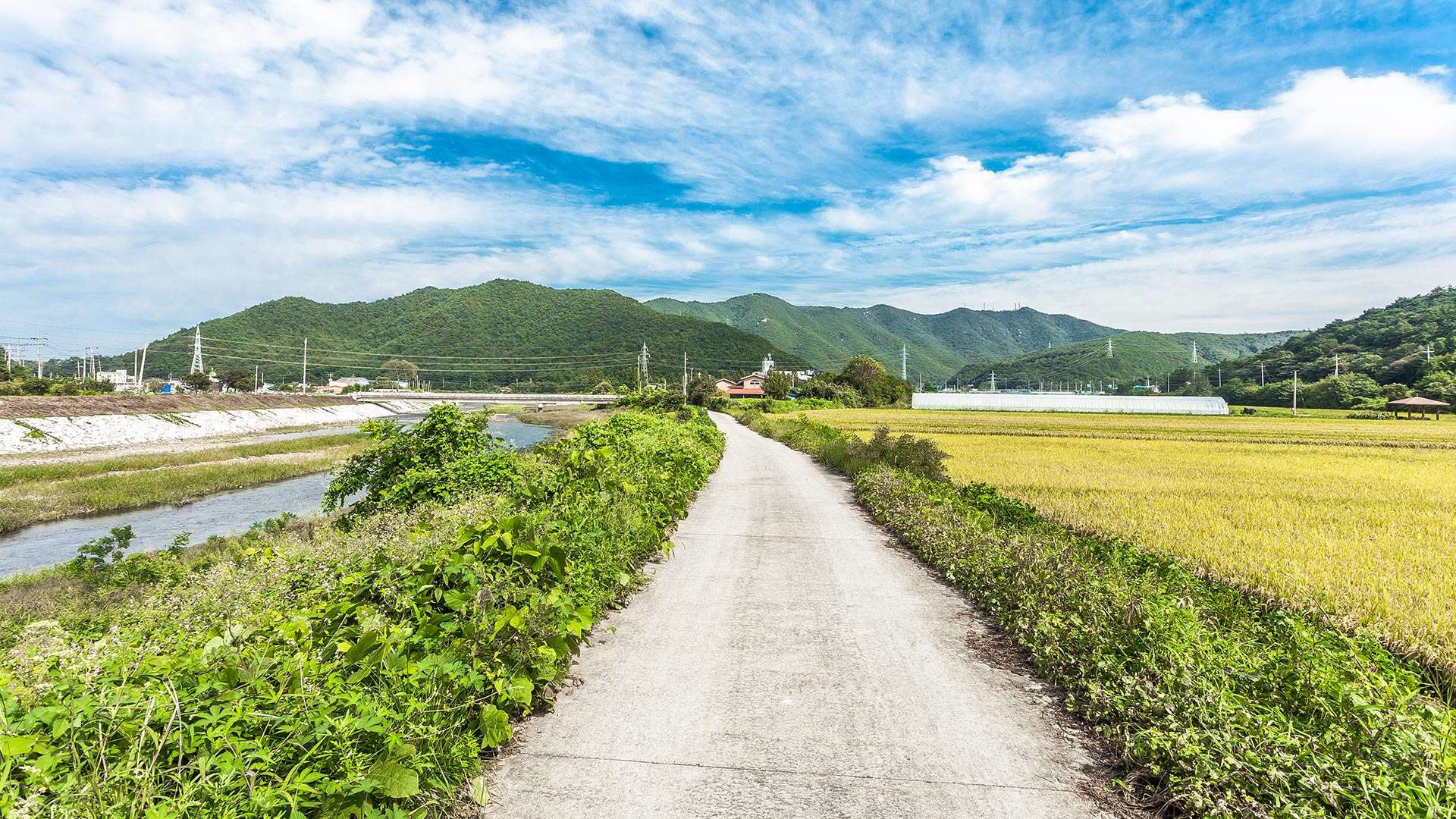 江陵Bau-gil（海松徑）7號路線