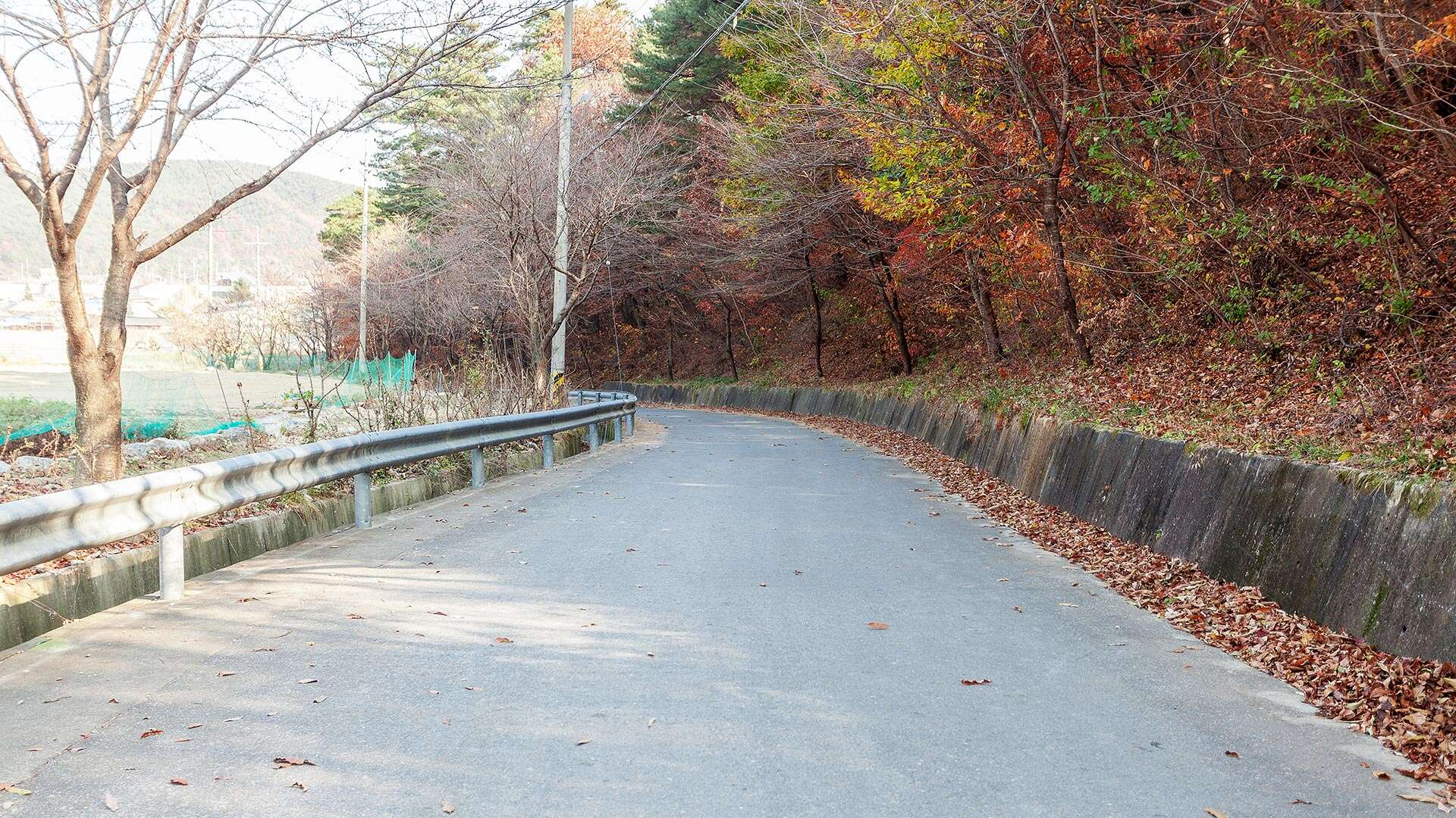 江陵Bau-gil（海松徑）7號路線