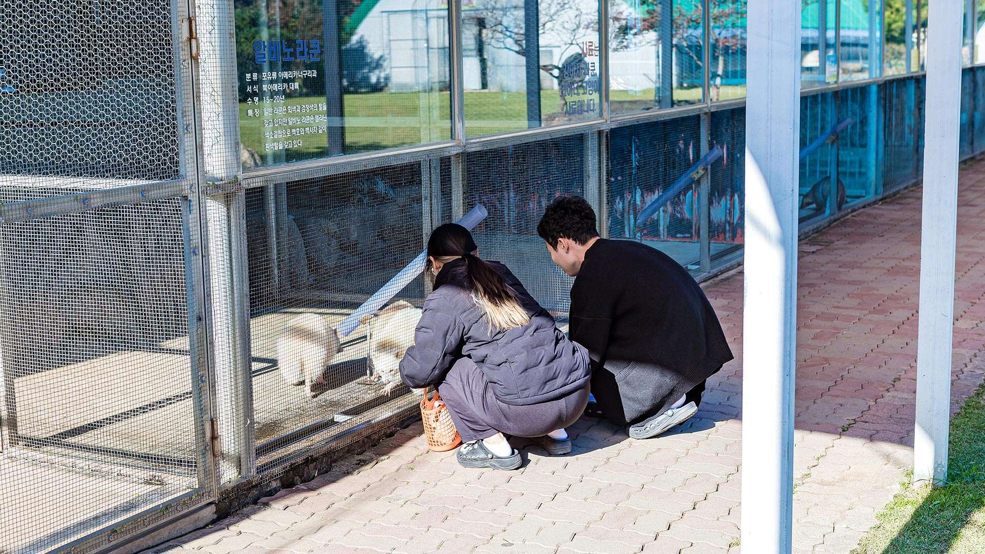 강릉쌍둥이동물농장