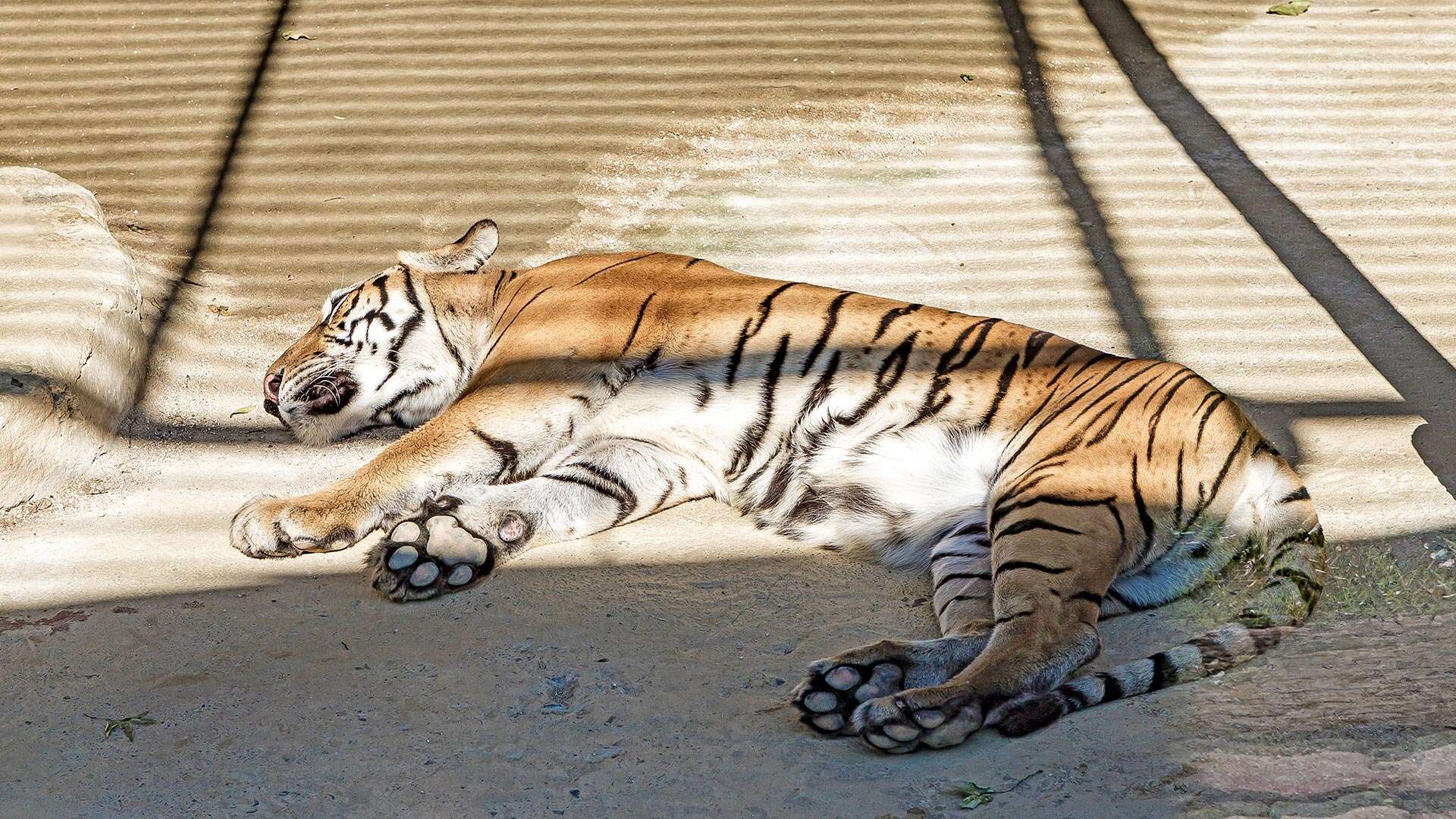 강릉쌍둥이동물농장