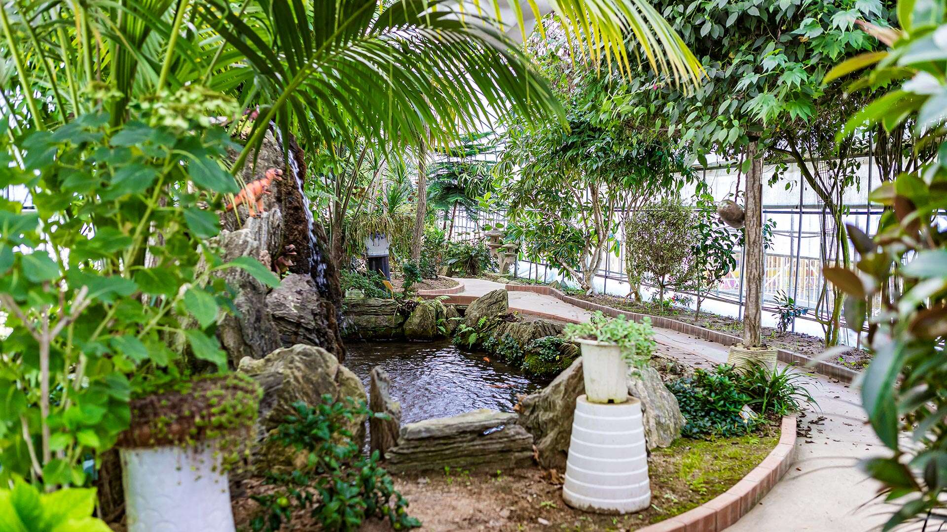 강릉쌍둥이동물농장