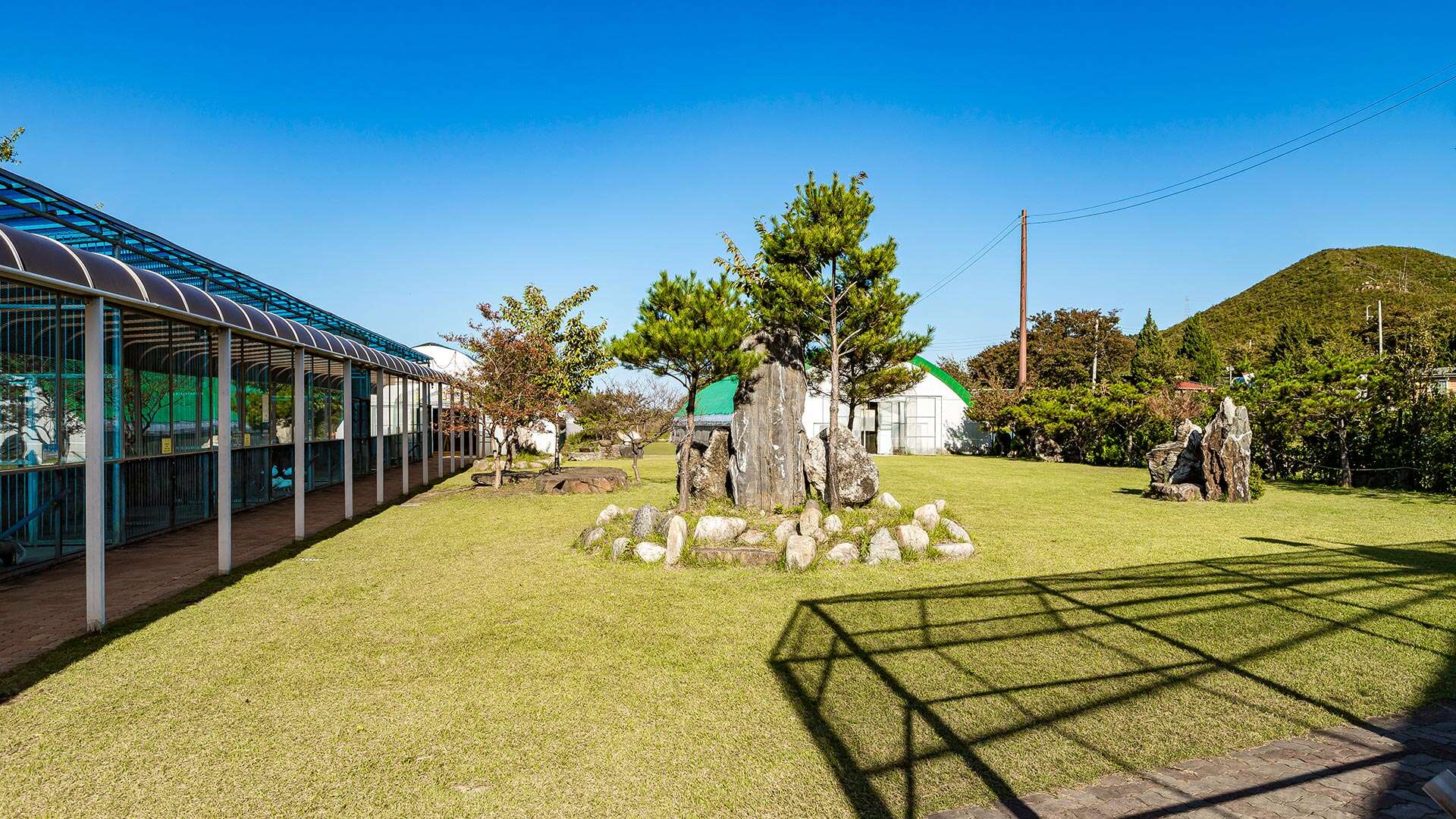 강릉쌍둥이동물농장