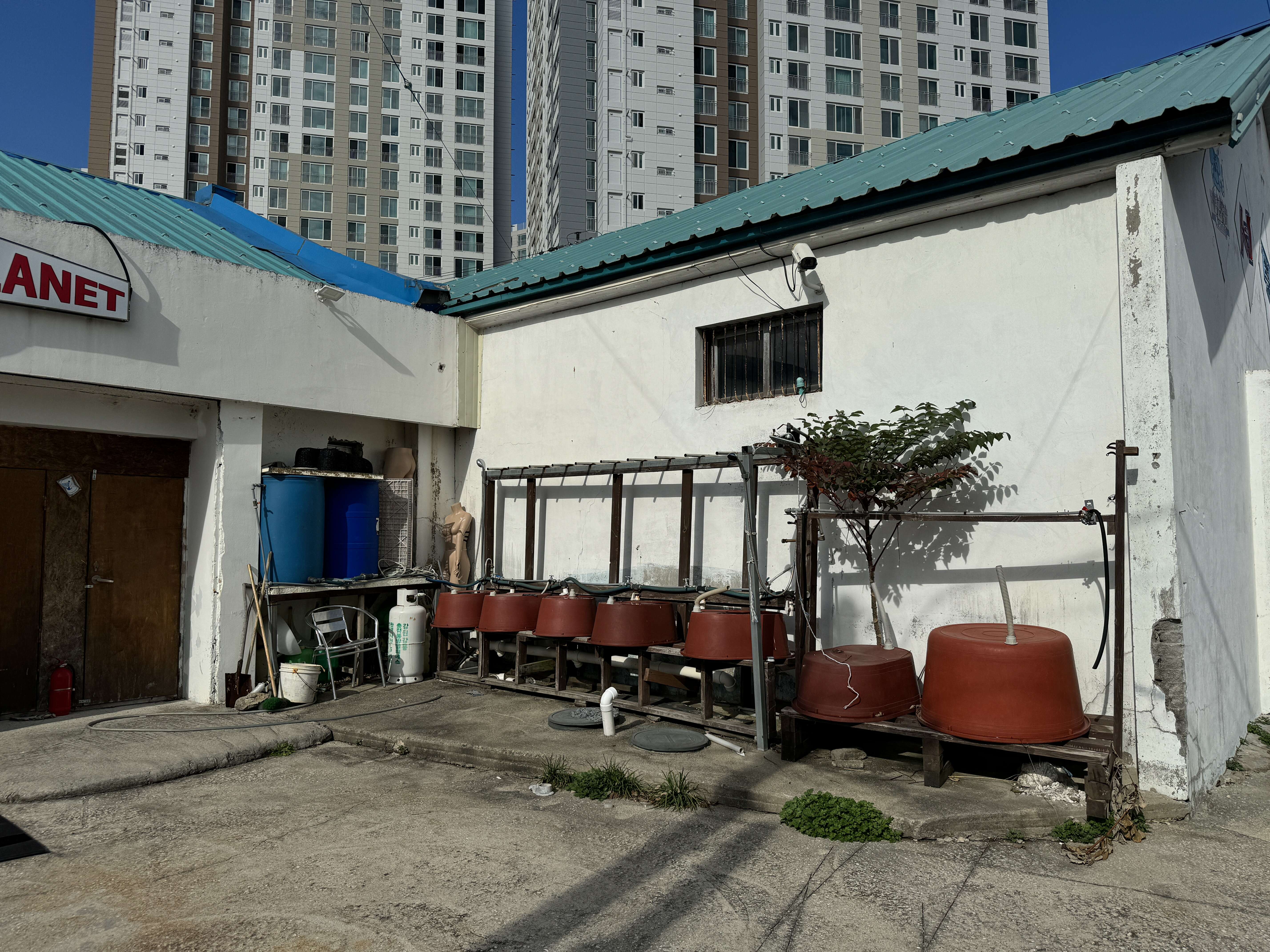 海洋星球潛水度假村