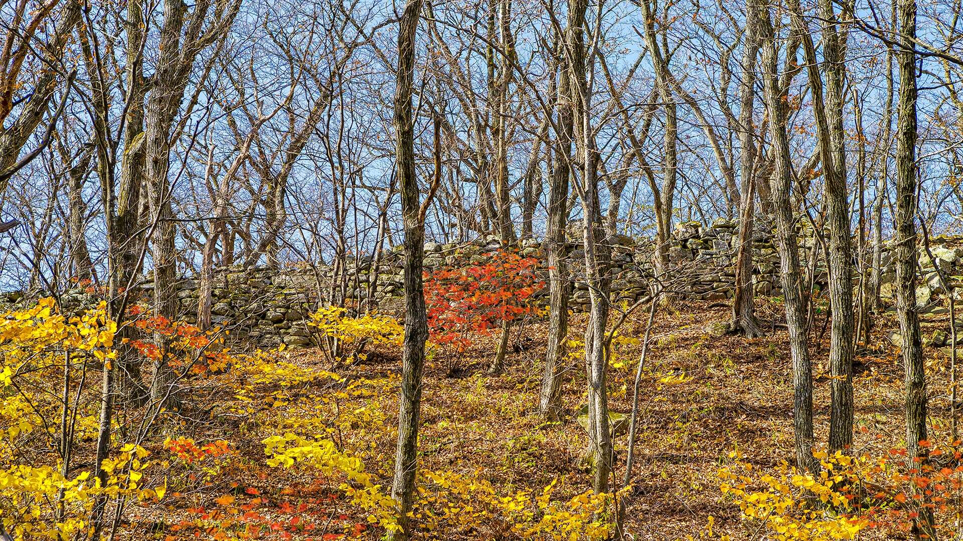 大公山城 (Daegongsanseong)