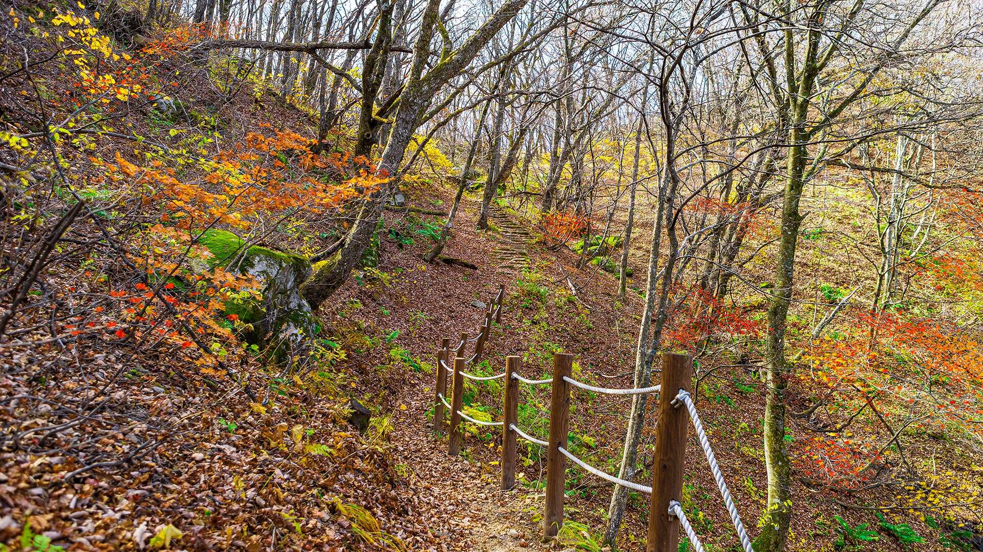 大公山城 (Daegongsanseong)