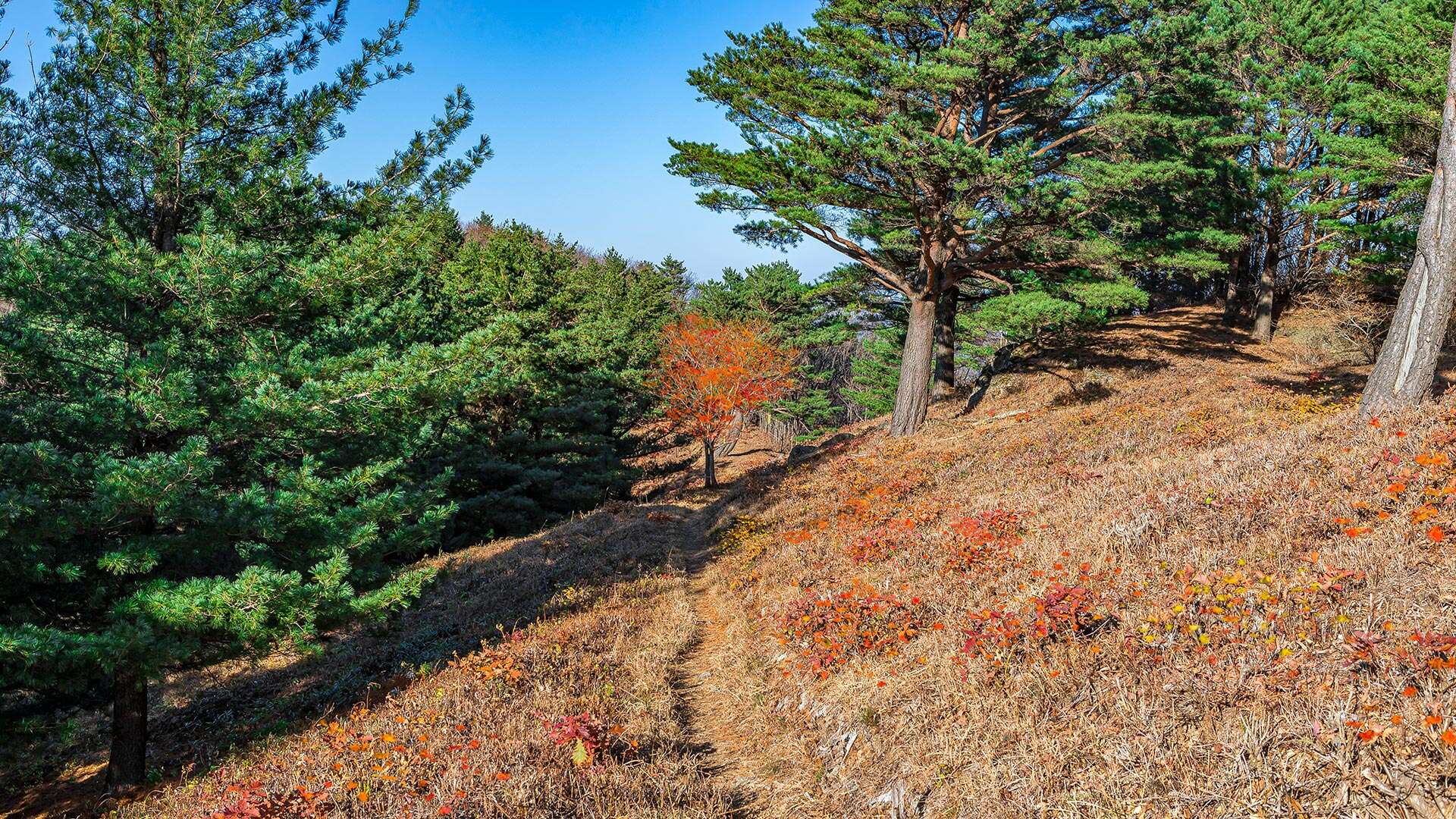 Seokdubong Peak