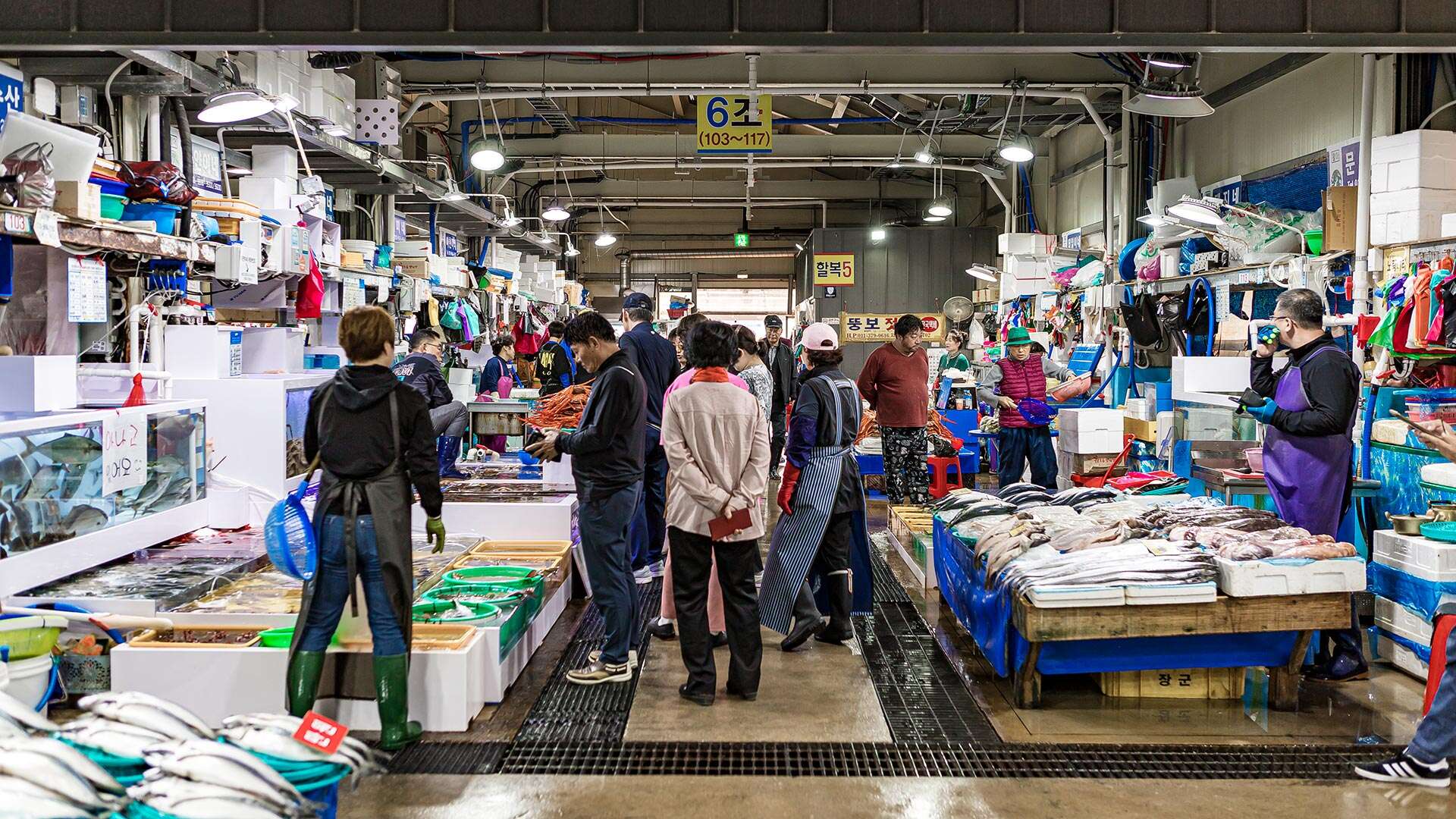 주문진좌판풍물시장