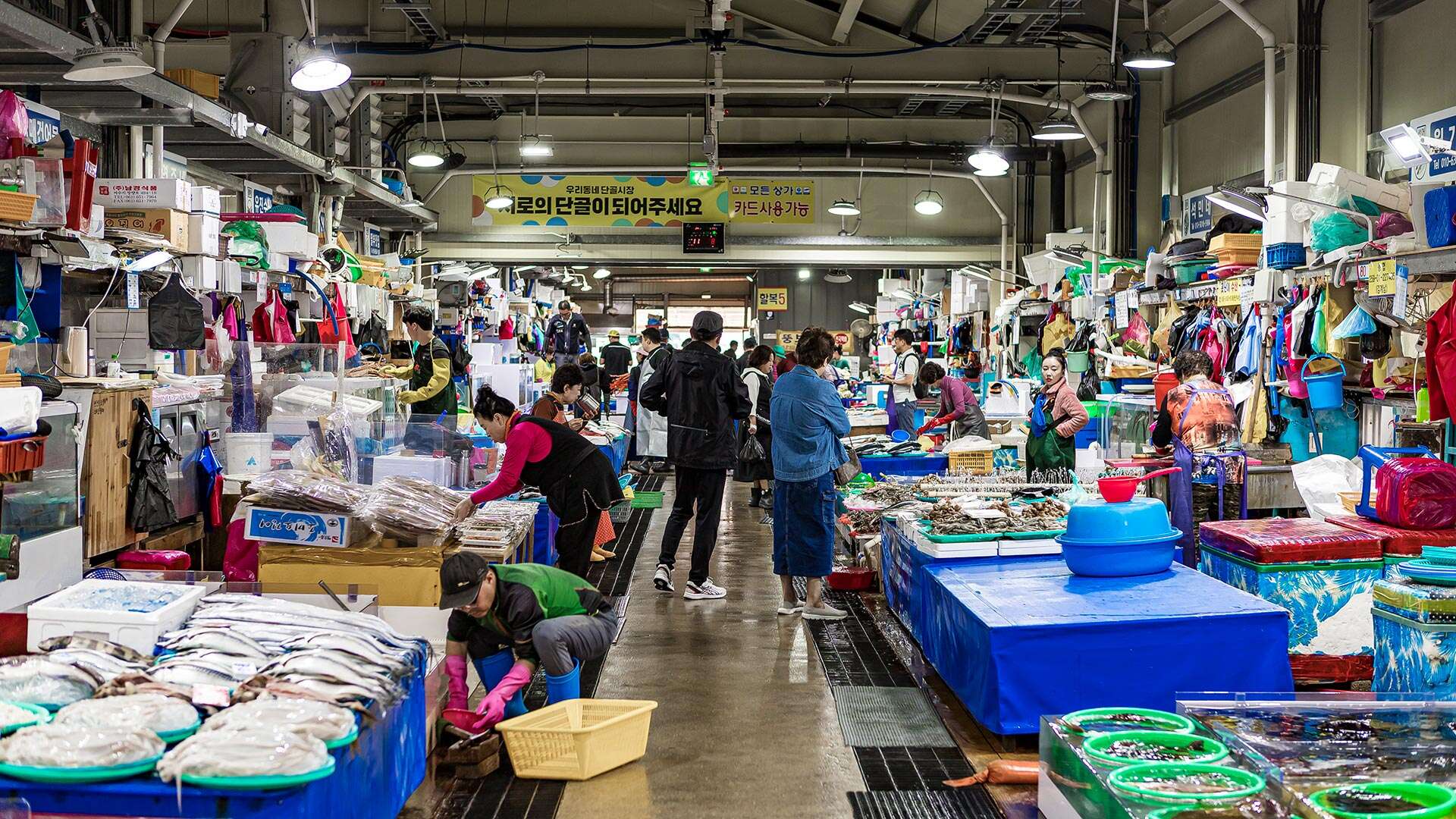 주문진좌판풍물시장