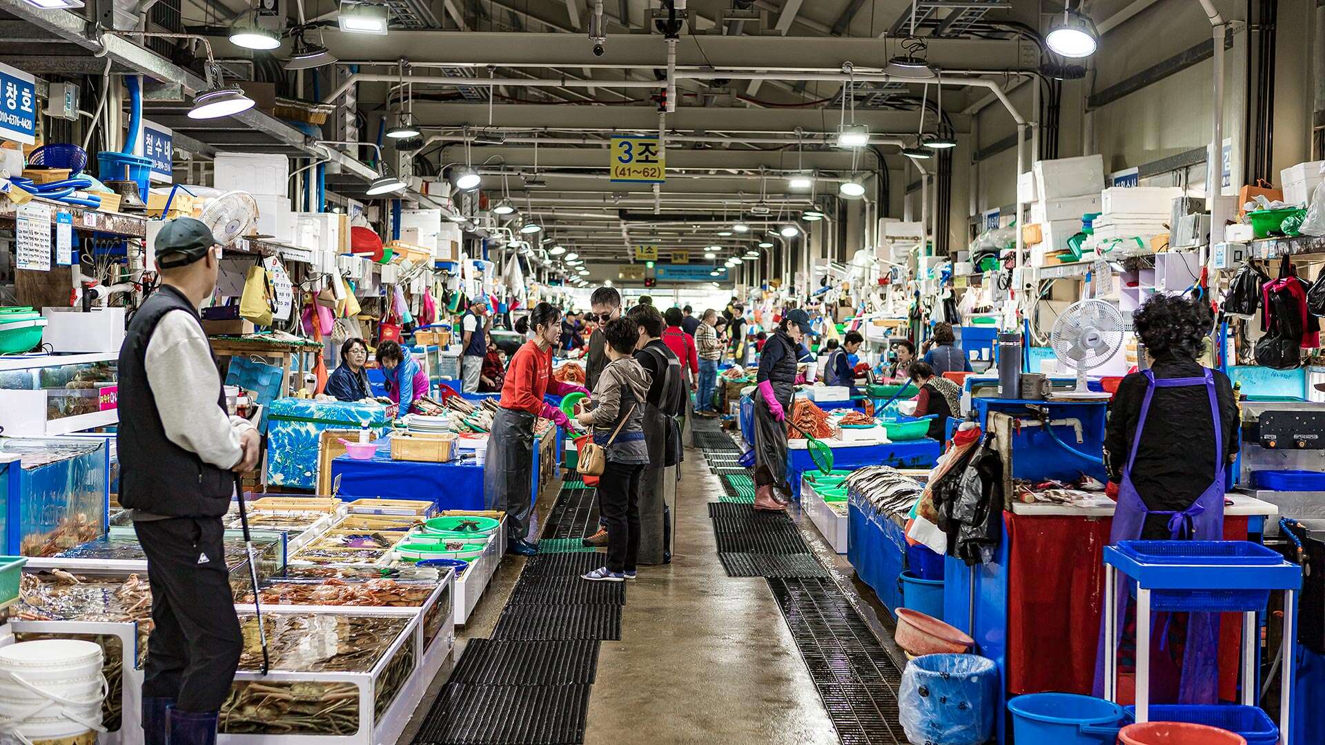 주문진좌판풍물시장