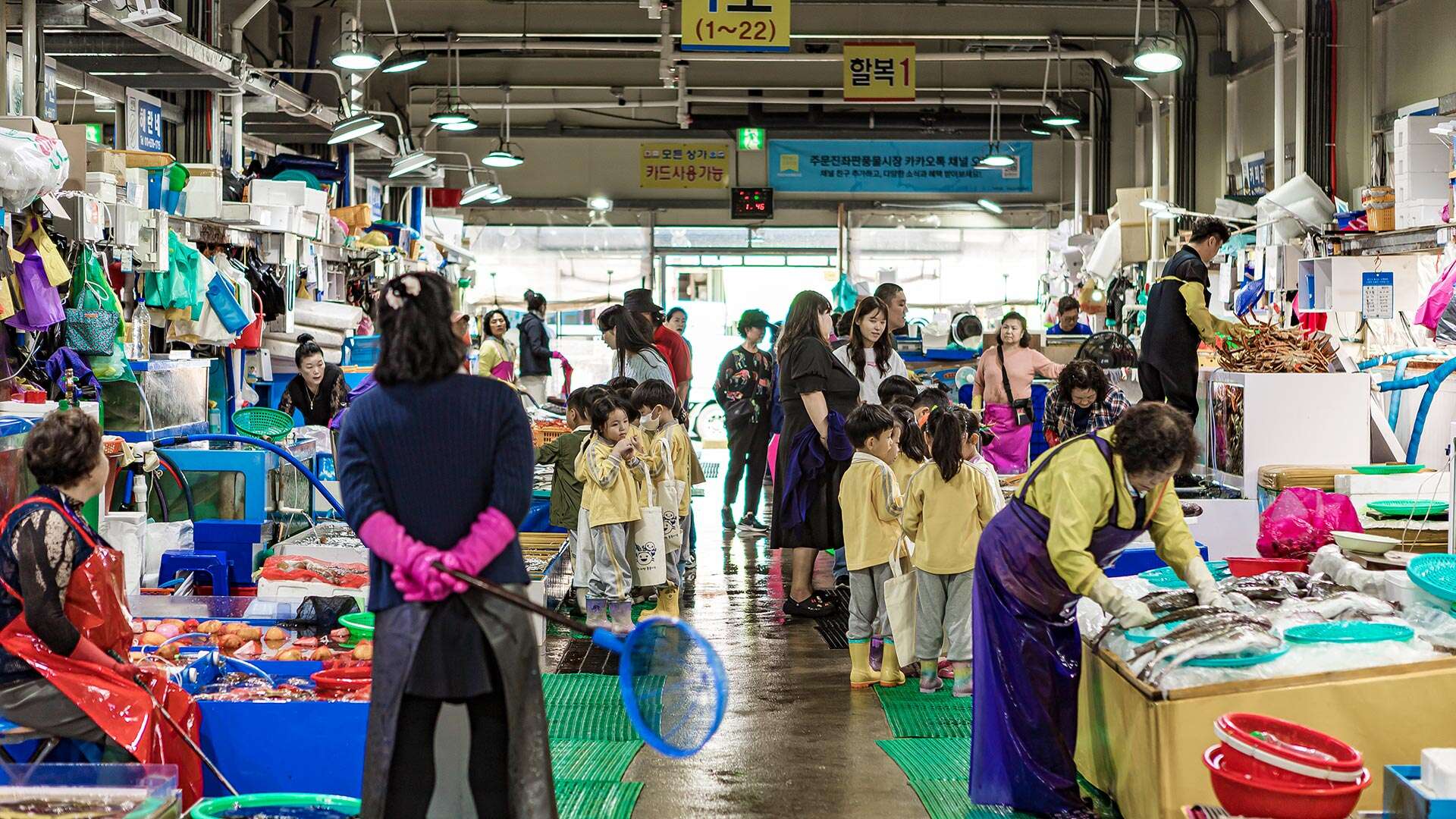 주문진좌판풍물시장