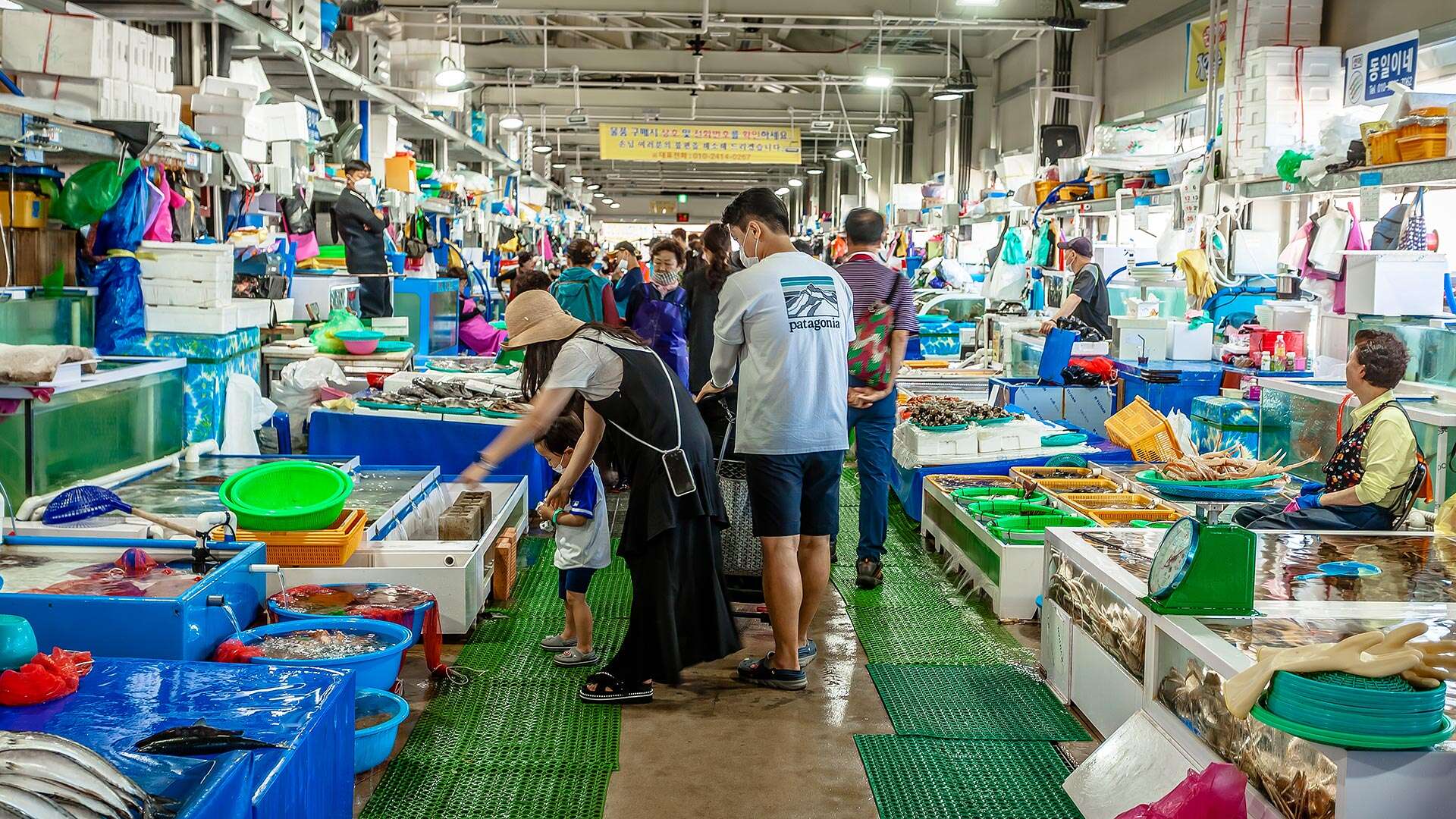 주문진좌판풍물시장