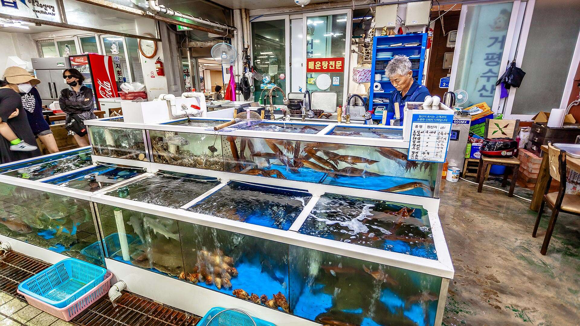 江陵注文津水産市場