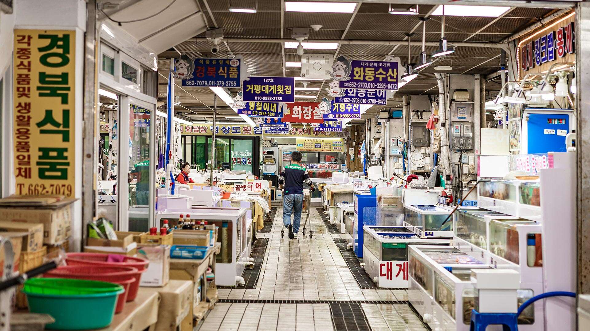 江陵注文津水産市場