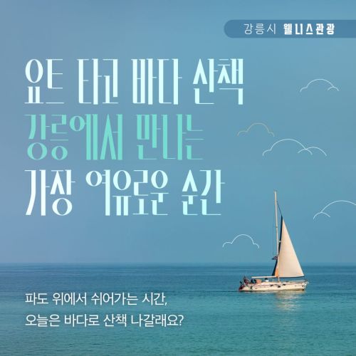 강릉시 웰니스 관광