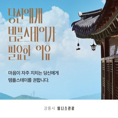 강릉시 웰니스 관광