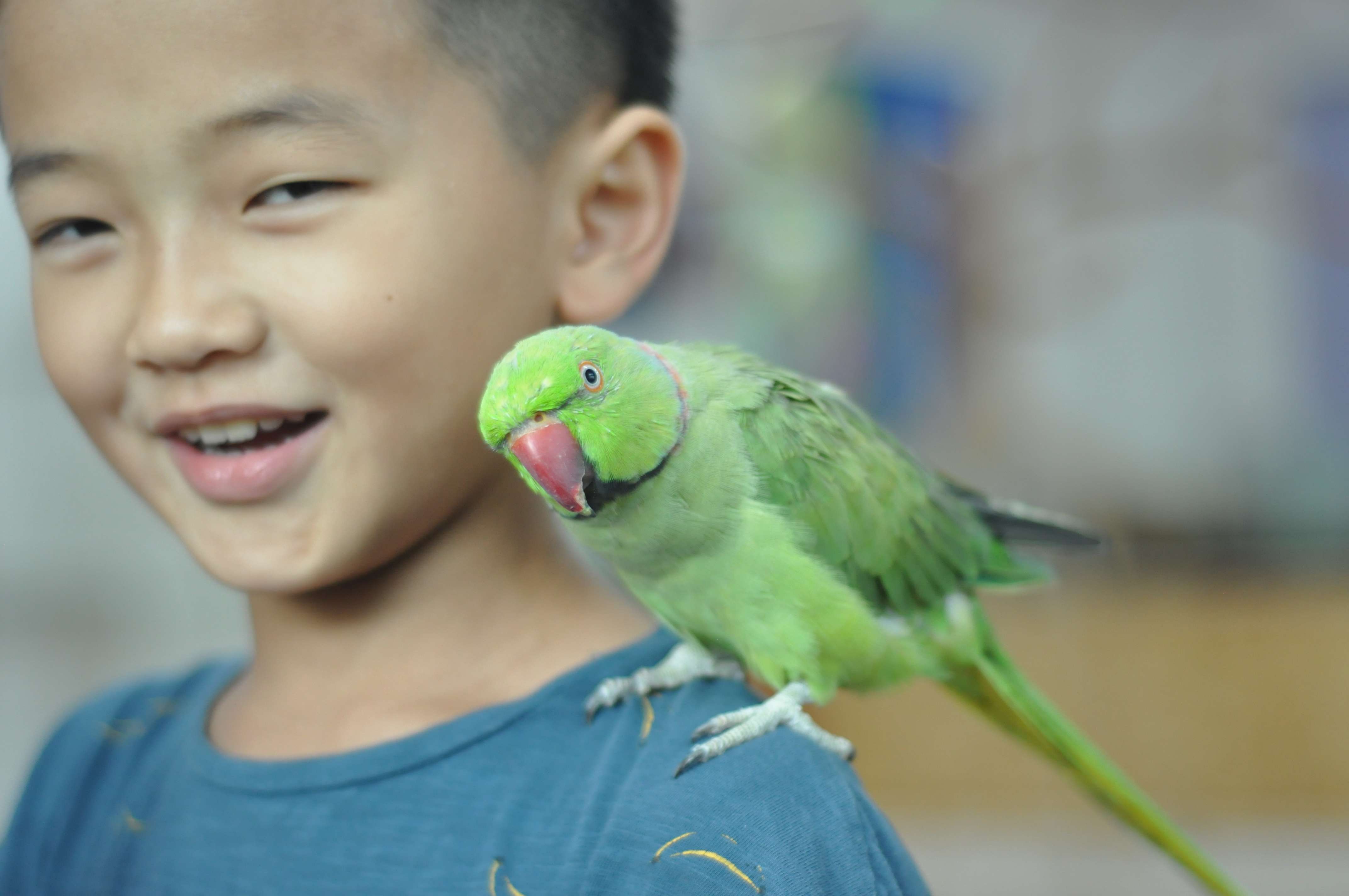 Animal Story 動物故事體驗館